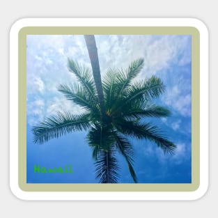 Under the palm tree in Hawaii. Sticker